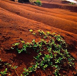 索尼克系列资讯节目《SONIC CENTRAL》 大量最新资讯